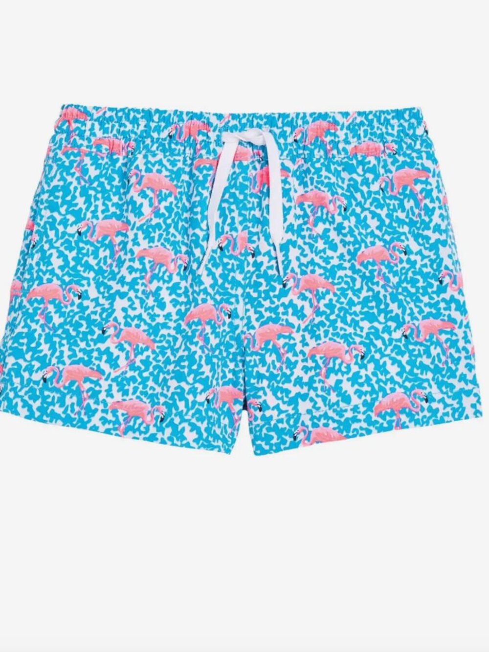 Chubbies Boys The Domingos Are For Flamingos Lined Swim Trunk Size L
